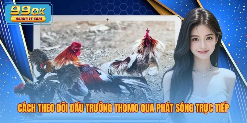 cach-theo-doi-dau-truong-thomo-qua-phat-song-truc-tiep Đá gà Thomo là gì trên màn ảnh phát sóng trực tiếp