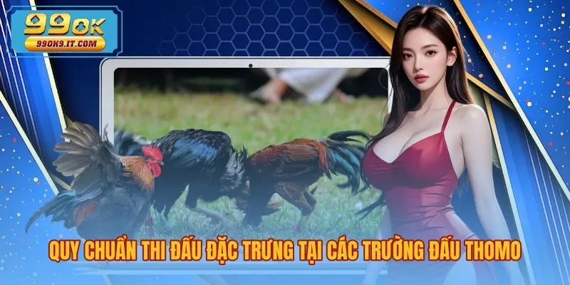 quy-chuan-thi-dau-dac-trung-tai-cac-truong-dau-thomo Đá gà Thomo là gì qua quy chuẩn kiểm định chạng cân